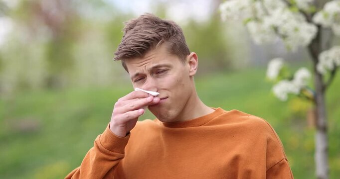 Seasonal allergy. Man with paper tissue sneezing near blossoming tree on spring day