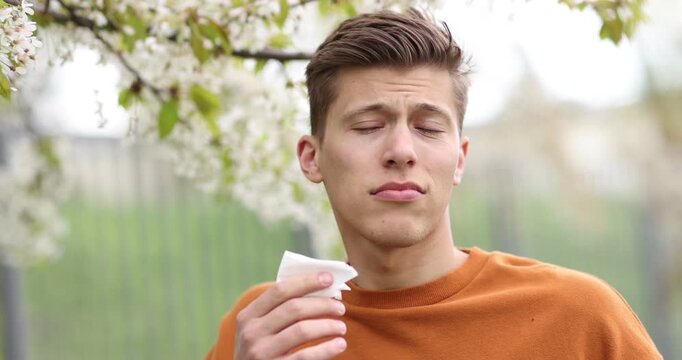 Man with paper tissue suffering from seasonal pollen allergy near blossoming tree on spring day