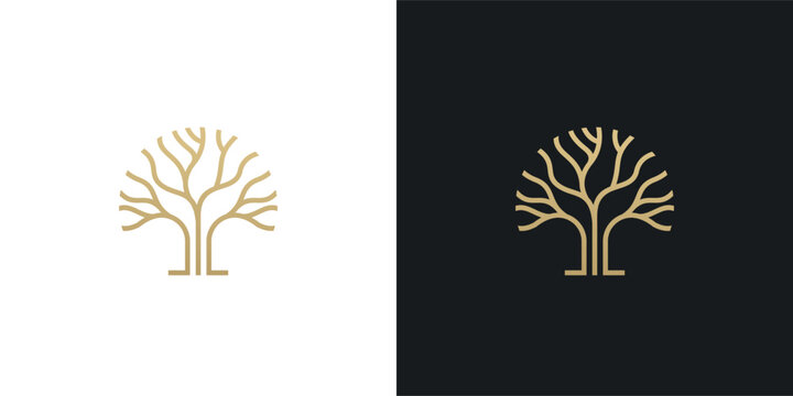 Tree modern style  logo design. Garden plant natural symbols template.