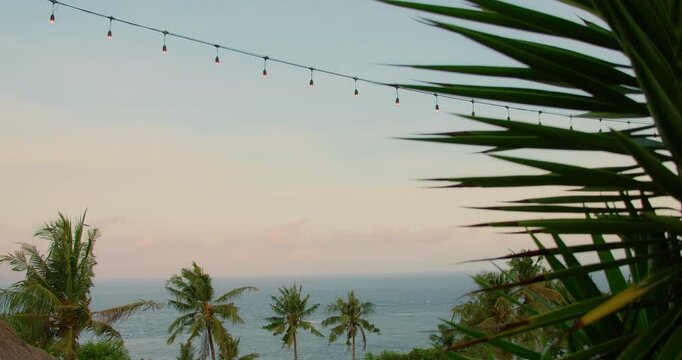 Palm trees line blue ocean horizon under string lights on tropical island at sunset