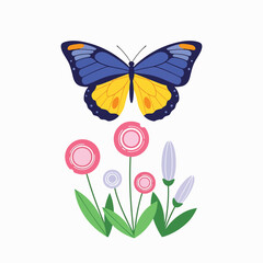 Colorful Butterfly on Pink Flowers. © Warni