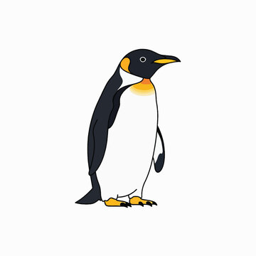 King Penguin Standing Sideways Profile View.