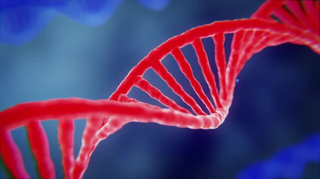 zooming through a complex dna helix strand, genes and genetics, dna strands