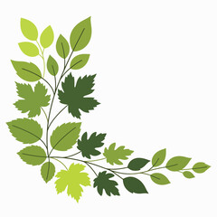 Obraz premium Collection of various green leaf types 1.