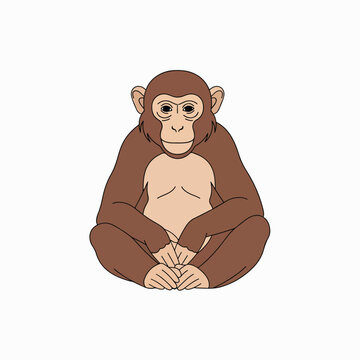 Brown monkey sitting cross legged.