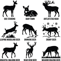 Fototapeta premium Set of black silhouette icons showing deer in various poses including standing fawn stag leaping drinking walking and grazing in the wild