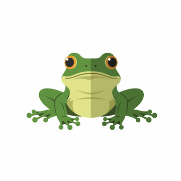 Green Frog Sitting on White Background.