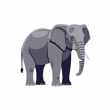 Gray Elephant Standing Alone Sideways.