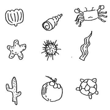 Set hand-drawn sea life doodle set including shell, crab, starfish, coral, and ocean elements in simple black outline style.
