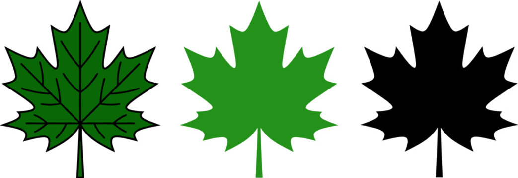 Maple leaf vector collection, green foliage icons, black silhouette set, nature symbol, Canada emblem, seasonal element, organic design, botanical graphic, isolated white background, leaf 