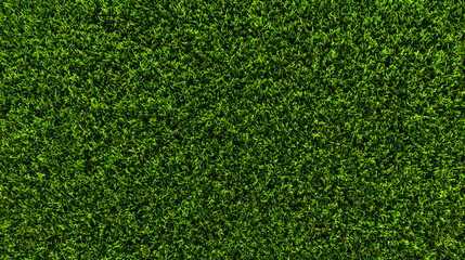 Obraz premium Green grass seamless background texture. Aerial top view of green turf surface from a garden lawn, football pitch, sports field.