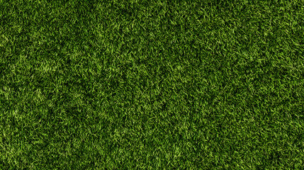 Obraz premium Green grass seamless background texture. Aerial top view of green turf surface from a garden lawn, football pitch, sports field.