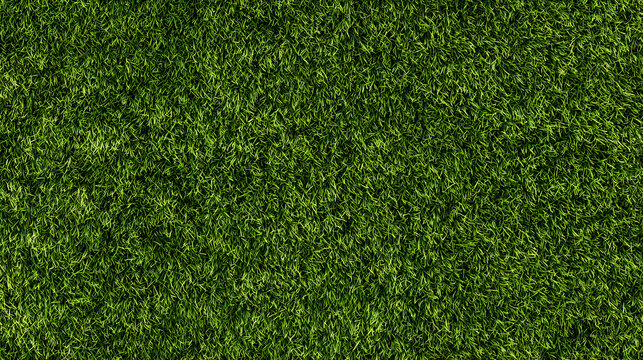 Green grass seamless background texture. Aerial top view of green turf surface from a garden lawn, football pitch, sports field.