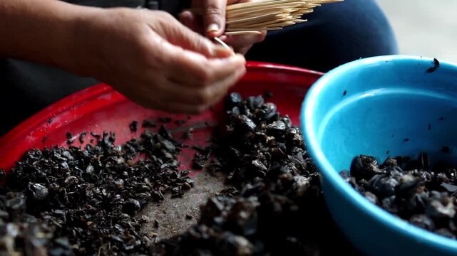 Preparing to make snail satay (Indonesian snail skewers). Skewering the snail meat.