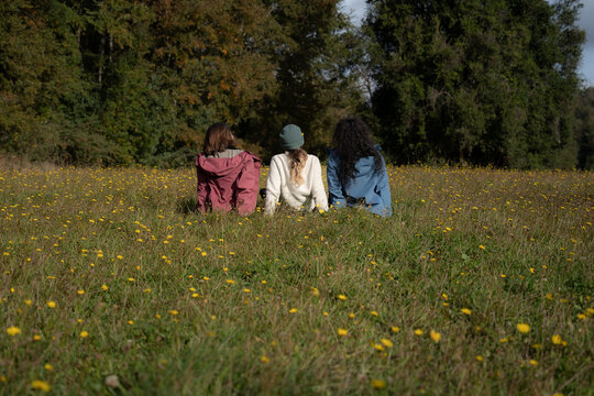 Tres amigas sentadas en un campo de flores amarillas. Una con cabello negro rizado, otra con cabello rubio y la &uacute;ltima con cabello casta&ntilde;o liso.