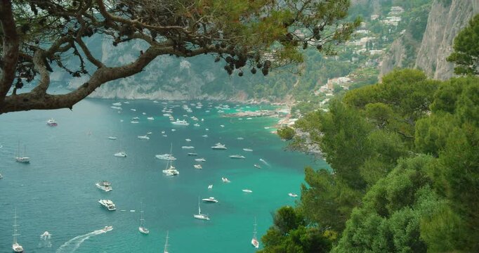 Turquoise bay with many boats and pine trees on rocky Mediterranean coast in summer Capri