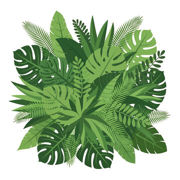 Tropical green leaves illustration bunch 1.