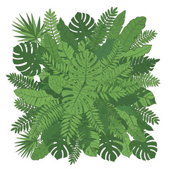 Collection of various green tropical leaves 7. © Jem