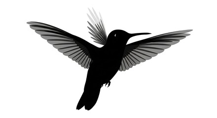 Obraz premium Black silhouette hummingbird in flight isolated.