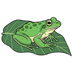 Fototapeta premium Green Frog Sitting on Large Leaf 1.