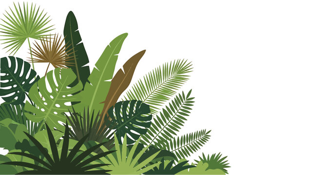 Tropical leaves and foliage plants.