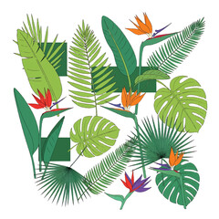 Tropical leaves and colorful bird flowers. © Jem