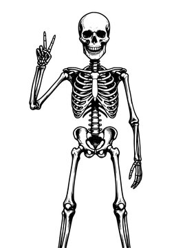 Smiling skeleton vector illustration giving peace sign