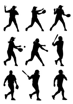 Vector illustration of baseball and softball players in action