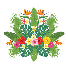Tropical flowers and green leaves arrangement 1. © Jem