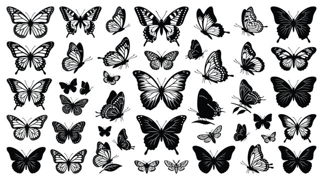 Set of black silhouettes of butterflies collection of various butterfly species, different shapes and sizes, vector illustration for design, scrapbooking, and decoration