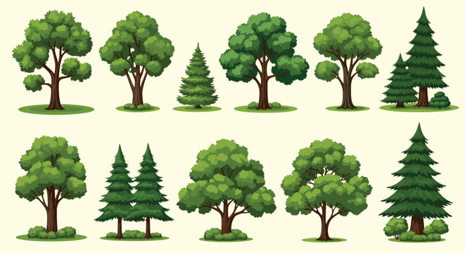 Green broadleaf and conifer trees for natural landscapes and graphic design.