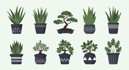 Fototapeta premium Collection of various potted house plants including succulents and bonsai for interior design projects