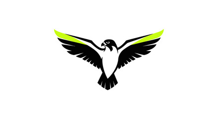 Obraz premium Falcon Logo Vector, Bird of Prey Silhouette, Wings Spread, Clean Design, Modern Icon