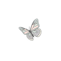 Colorful Butterfly with Open Wings 3. © Tri