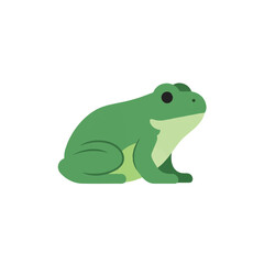 Fototapeta premium Green Frog Sitting on Ground Looking 2.