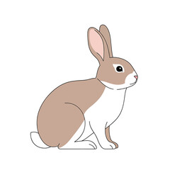 Obraz premium Cute Brown and White Rabbit Sitting.