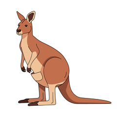 Brown kangaroo standing on ground. © Tri