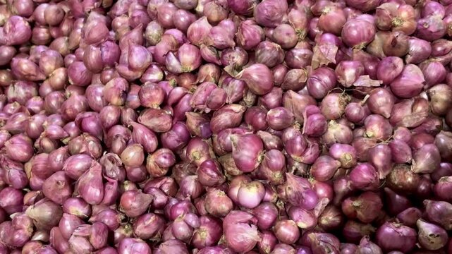 An Asian woman is selecting a pile of red onions (Allium cepa L) at a traditional market.
