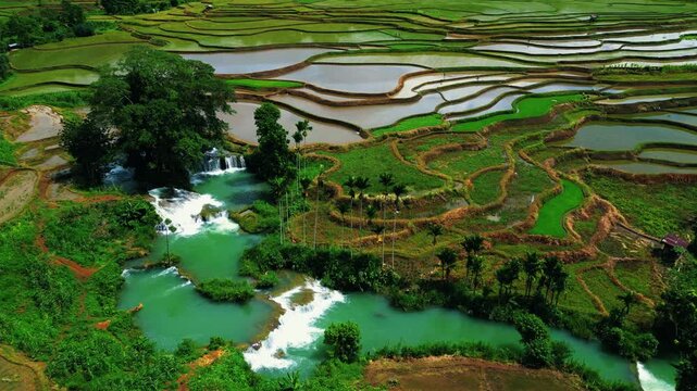 Waikacura Waterfall Cascades Through Emerald Rice Terraces in West Sumba