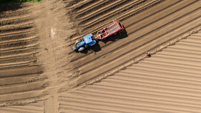 Aerial view of a blue tractor pulling a red agricultural machine through tilled soil with deep parallel ridges and a worker standing nearby in Knottingley, England, United Kingdom.