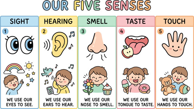 Five senses chart for preschool kids