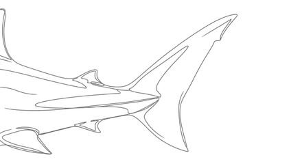 Shark tail fin outline, marine animal illustration, ocean wildlife line drawing © Ahmad