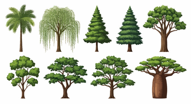 Collection of diverse trees with lush green foliage on white background