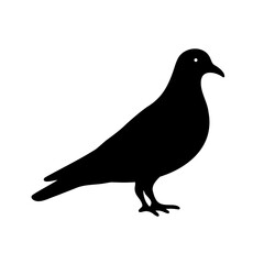 Fototapeta premium Pigeon icon silhouette, white background, vector illustration
