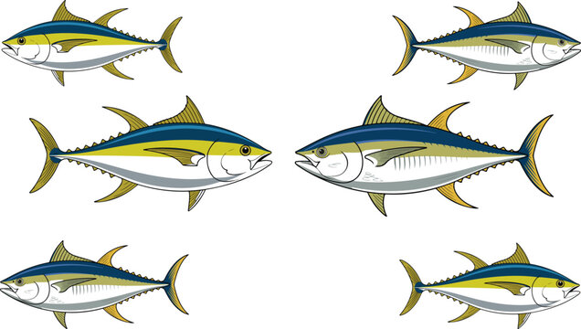 Yellowfin tuna fish vector illustration set with six detailed saltwater gamefish icons isolated on white background for fishing,
