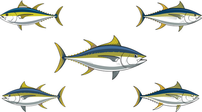 Yellowfin tuna fish vector illustration set with six detailed saltwater gamefish icons isolated on white background for fishing,