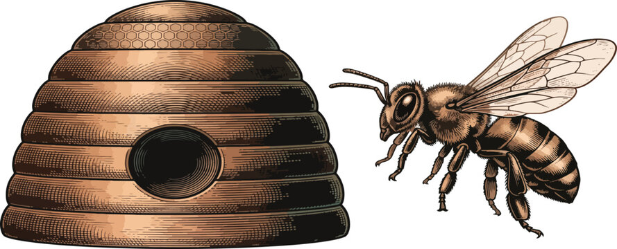 Bee hive etching