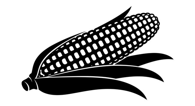 A black and white drawing of an ear of corn