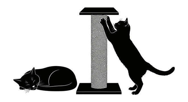 Two black cats and a scratching post