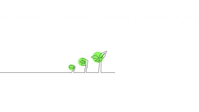 Continuous line tree growth stages from small plant to big tree on transparent background, alpha channel, 4K resolution, horizontal video element
